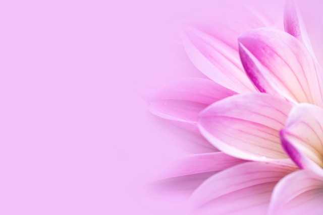 Pelvontrixia közösség